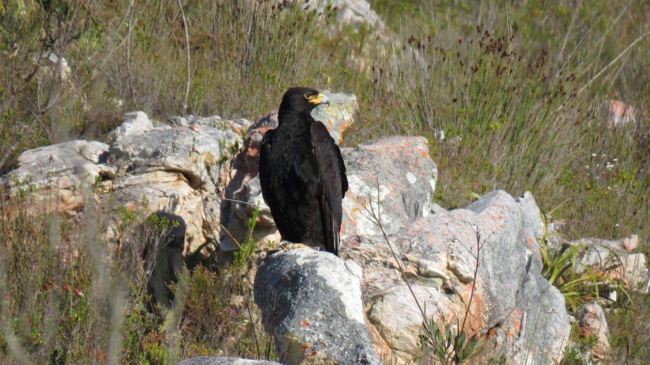 Farm 215 Private Nature Reserve Uilenkraal Dış mekan fotoğraf